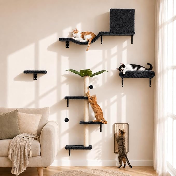 5-in-1 Cat Wall Shelves for 16 Inch Drywall: Space-Saving Wall Mounted Cat Shelves with Climbing, Perch & Lounge