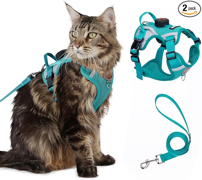 Cat Harness and Leash Set with AirTag Holder: Upgraded Escape Proof Vest with Lead for Small Dog Puppy Large Cat Walking，Soft Breathable Mesh Coat with Reflective Strip (Green, L)
