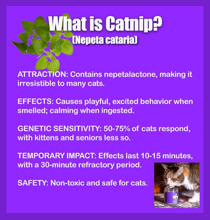 Catnip Blend - Non-Addictive Catnip Treats for Enhanced Playfulness. North American Crafted, 100% Natural. Ideal for Complementing Catnip Toys, Catnip Spray, and Cat Accessories (1 Cup)