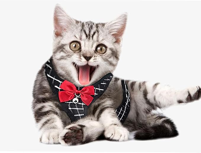 Cat Harness and Leash, Breathable Mesh Vest Harness for Puppy Cat Rabbit (Black, S)