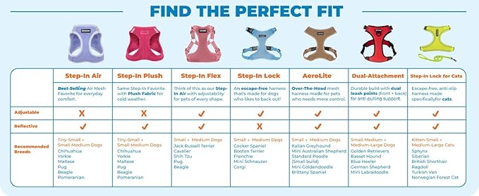 Voyager Escape-Proof Step-in Lock Cat Harness & 5ft Neoprene-Handle Leash Set All-Weather Mesh with Reflective Stitching for Small to Large Cats by Best Pet Supplies, Black Trim-Royal Blue (327), XS