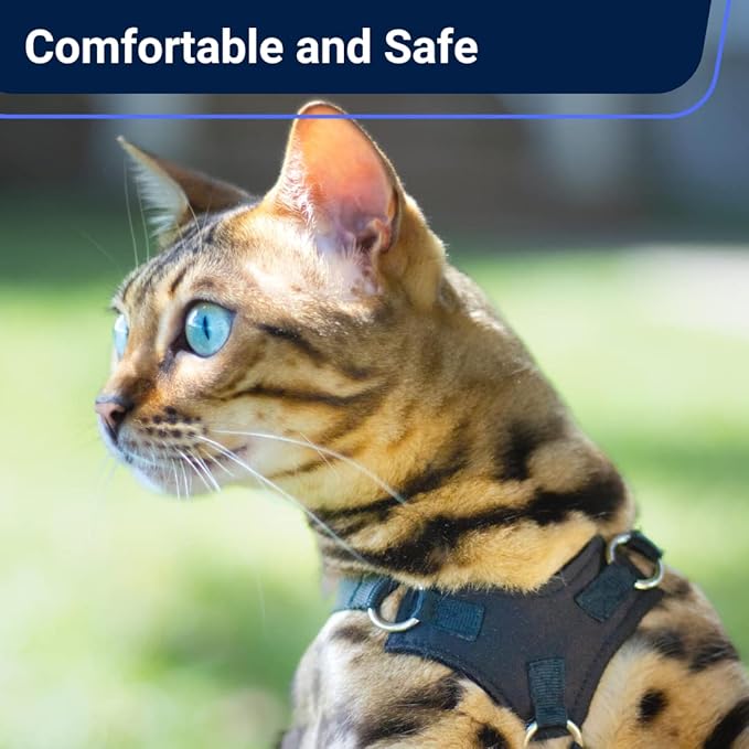 Cat Harness and Long Leash (14FT) - Escape Proof, Choke Free, Lightweight OutdoorBengal - Vest + Black Lead for Walking Cats (M)