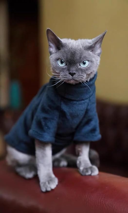Sphynx Cat Clothes Winter Turtleneck Soft Coral Fleece Cat Clothes Thicken Warm Pajamas Coat for Hairless Cats and Small Cat Apparel with Sleeves (Black, M（3.8-6lbs）)