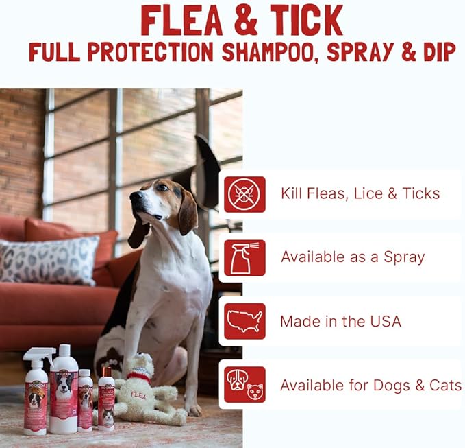 Bio-Groom Flea & Tick Dog Shampoo - Flea and Tick Prevention for Dogs, Cat Flea Treatment, Cruelty-Free, Made in USA, Natural Tick Repellent, Protein-Lanolin Shampoo - 12 fl oz 1-Pack
