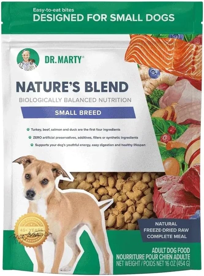 Dr. Marty Squeeki's Delights 100% Freeze-Dried Raw Salmon Cat Treats 4 oz (6 Pack)