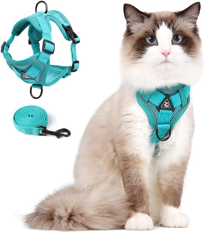 Vest Harness Leash Set for Small Dog Large Cat, Upgraded Escape Proof Adjustable Jacket with Lead for Puppy Fat Cat Outdoor Walking, Soft Breathable Mesh Coat with Reflective Strip for Dark XL Green