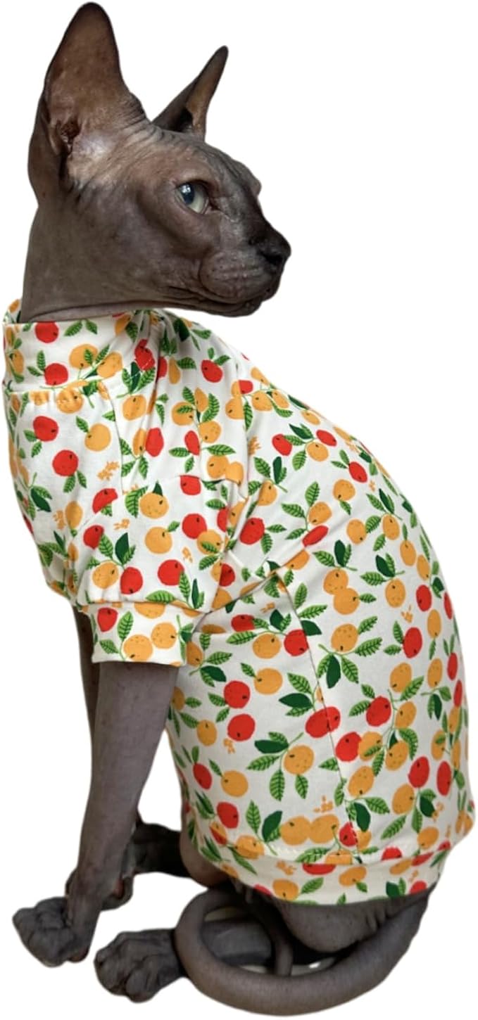Limited Edition Sphynx Cat T-Shirts Elastic Hairless Cat Sweatshirt Pet Kitten Clothes Round Collar Kitten Shirts Vest Cats & Small Dogs Apparel (Kumquat, L (7.7-9.9 lbs))