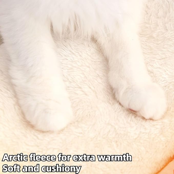 Cat House, Cat Beds for Indoor Cats, Cat Tent with Curtain Design for Winter, Cat Bed with Removable and Washable Cushion (Small)