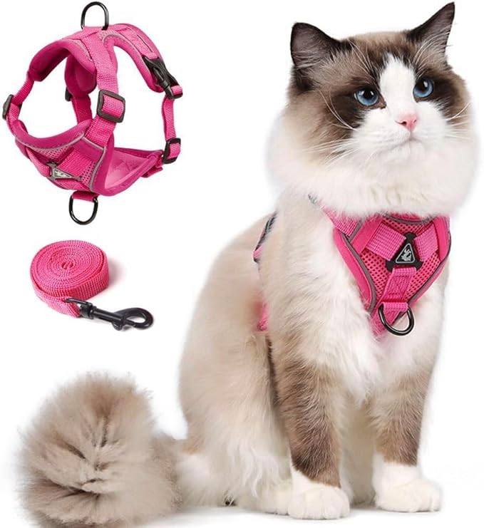 Vest Harness Leash Set for Small Dog Large Cat, Upgraded Escape Proof Adjustable Jacket with Lead for Puppy Fat Cat Outdoor Walking, Soft Breathable Mesh Coat with Reflective Strip for Dark XL Pink