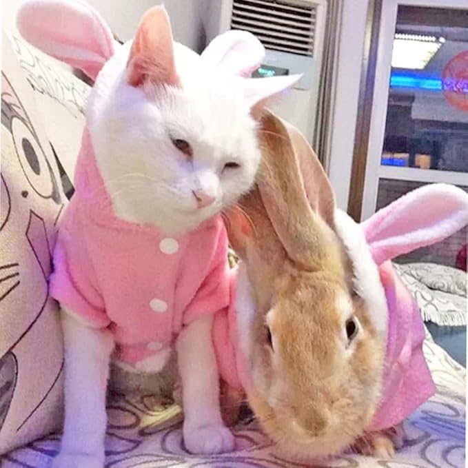 ANIAC Bunny Ears Cat Costume Plush Dog Hoodies with Pocket Sweater Cute Kitten Cat Clothes Warm Rabbit Ears Outfit with Hood for Small Dog Cat and Puppy (Pink-2, X-Small)