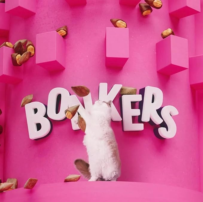 Bonkers Cat Treats Chicken Flavor Cat Bites, Crunchy & Soft Low Calorie, Training or Food Topper for All Breeds and Ages 30 oz Value Pack with Chickylicks Purrpop Sample, Plus 4 Cat Spring Toys