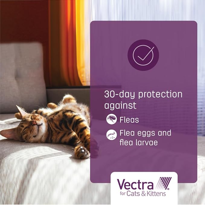 Vectra for Cats & Kittens Flea Treatment & Prevention for Small Cats (2-9 lbs.) 3-Month Supply
