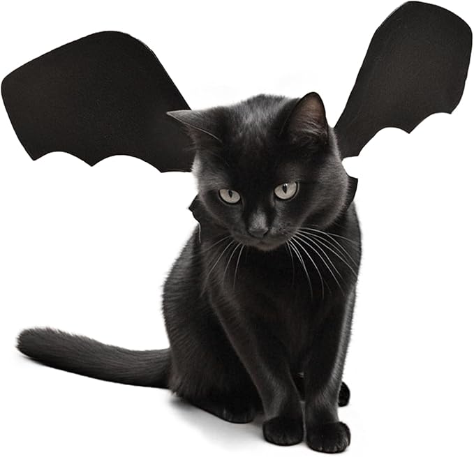 EpicCos Batwing Cat Costume with Leash Hook - Soft Felt Kitten Costume, Adjustable Cat Puppy Clothes for Cosplay Party Walks (M)