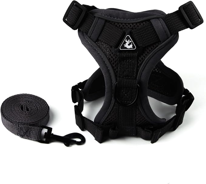 Cat Harness and Leash Set for Small Cat Kitten, Escape Proof Adjustable Vest with Lead, Soft Breathable Mesh with Reflective Stripes for Night Outdoor Walking(S, Black)
