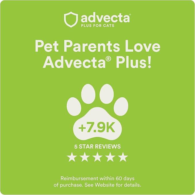 Advecta Plus Topical Flea Treatment for Cats and Kittens, Flea Prevention and Control, Small & Large, Fast-Acting Waterproof Drops, 6-Month Supply