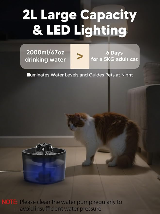 Automatic Cat Feeder and Water Fountain, 4L/16 Cups Timed Cat Dry Food Dispenser, 10s Meal Call, 20 Portions 6 Meals Per Day, 2L Cats Fountains for Drinking with Filter, Pet Feeder for Dog