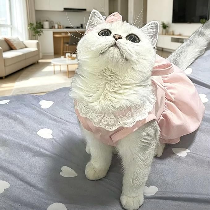 Pet Pumpkin Princess Dress for Small Dogs Cats, Breathable Polyester Lace Skirt, Adjustable Strap Sleeveless Puppy Kitten Outfit for Ragdoll Yorkie Maltese, Spring Summer Sweet Costume(Pink, Large)