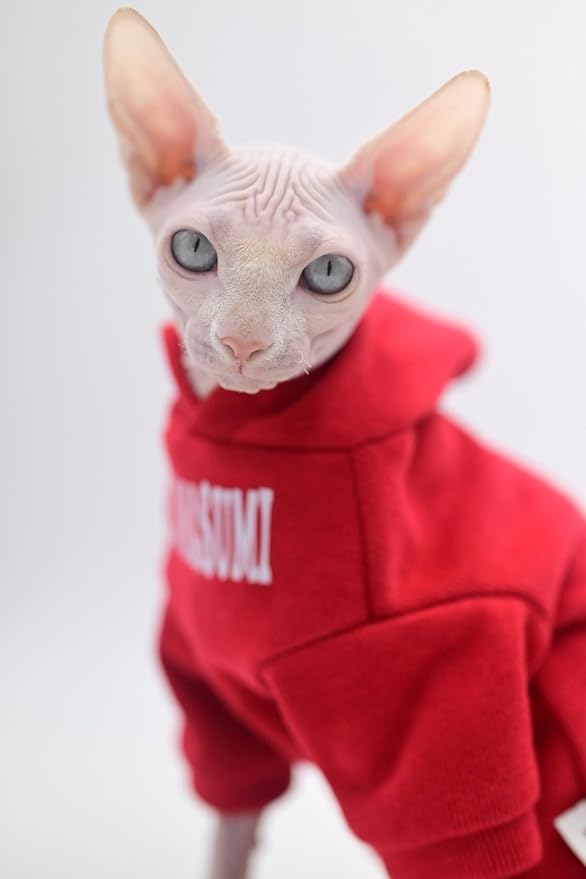 Sphynx Cat Apparel Kitty Clothes Autumn and Winter Hairless Cat Outfits Bald Cat Clothes for Devon Rex Cats, Cornish Cats (X-Large)