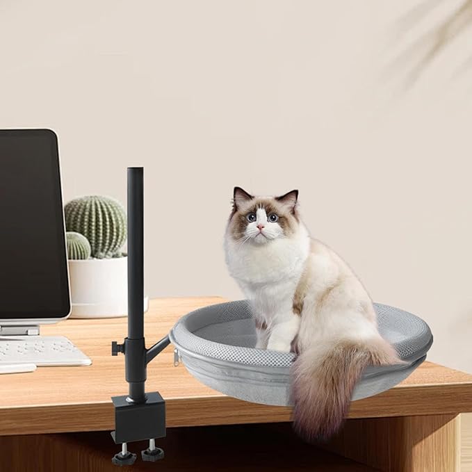Cat Desk Bed Height Adjustable 360° Rotation Cat Perch for Desk Clamp Mount Elevated Kitten Furniture for Side Table Study Room- Mesh Cloth and Plush