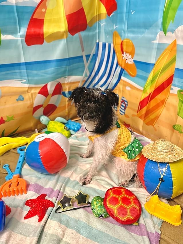 Funny Dog Swimwear Bikini Summer Dog Clothes Beach Swimsuit Puppy Bathing Suit Puppy Vest Cooling Pet Shirt for Small Dogs, Cat Apparel (Small, Yellow Pineapple)