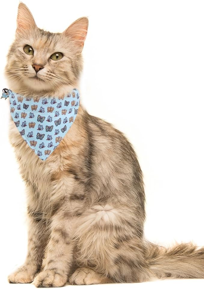 Cat Collar Breakaway with Cute Bandana and Bell Accessories for Kitty Adjustable Safety