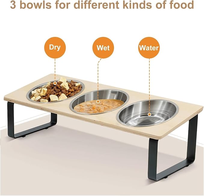 Cat Bowls with 3 Stainless Steel 15° Tilted Bowl for Small Cats Puppies