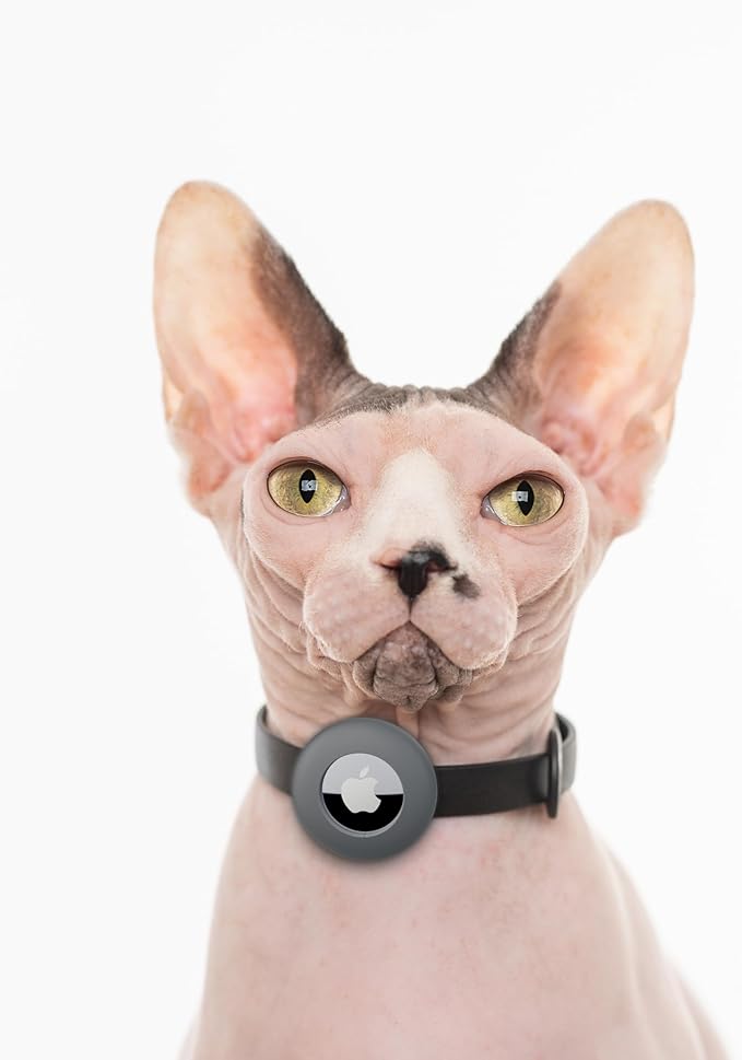 Airtag Silicone Cat Collar - Soft, Comfortable, and Lightweight Breakaway Collar with Air Tag GPS Tracker Holder for Outdoor Cats and Sensitive Skin Kittens by Nuvuq (6 ⅞" to 10 ¼", Black)