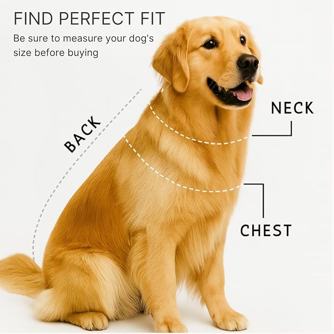 Luxury Pet Dress Shirt for Dogs & Cats – White Designer Button-Up Outfit, Formal Pet Clothes for Wedding, Party, Photoshoot, Puppy & Kitten Fashion Apparel (X-Large 15.5–18.7 lbs)