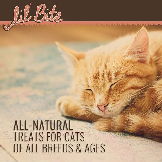 Lil' Bitz Soft & Chewy Cat Treats, Bite Size Rewarding Treats for Cats, Made with Natural Ingredients, Salmon & Liver Flavor, Perfect for Training & Bonding, 3 oz Bag