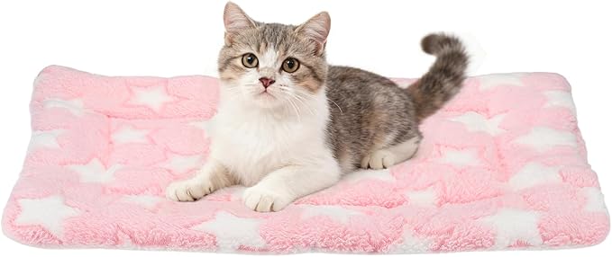 Dog Cat Bed Mat, Soft Coral Fleece Pet Cushion Pad with Cute Stars Print, Warm Washable Pet Bed 19x13 Inches, (Pink), Intended for Medium Small Dog Cat