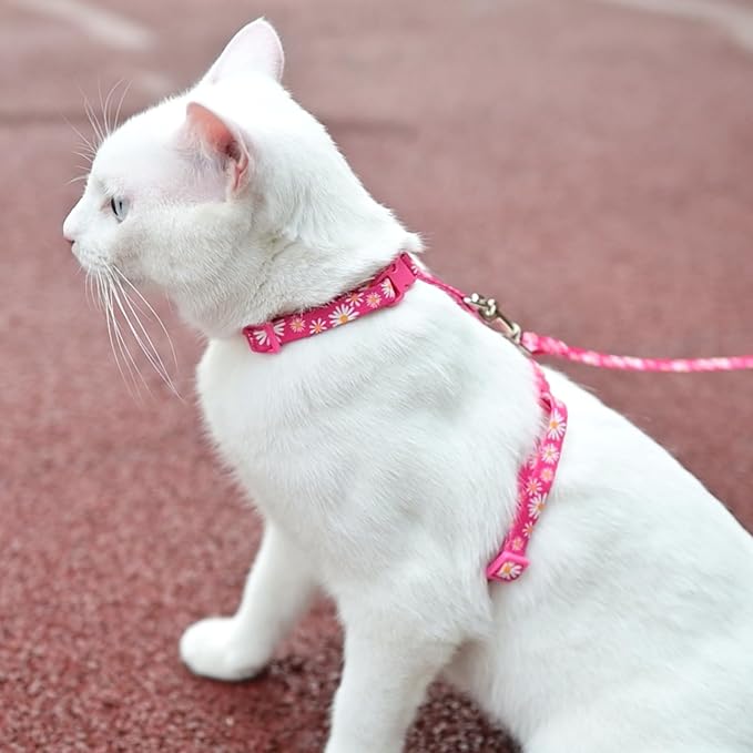 KOOLTAIL Cat Harness and Leash Set, Escape Proof Adjustable Kitten Harness for Walking Travel, Safe & Easy Control Outdoor, Lightweight Soft Pet Harness for Small Medium Large Cats, Daisy Rose