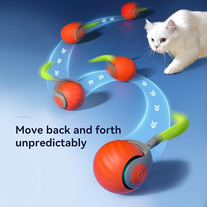 Petgravity Speedy Sprint Ball Toy for Cat Type-C Rechargeable Interactive Cats Toy (Blue+Orange)