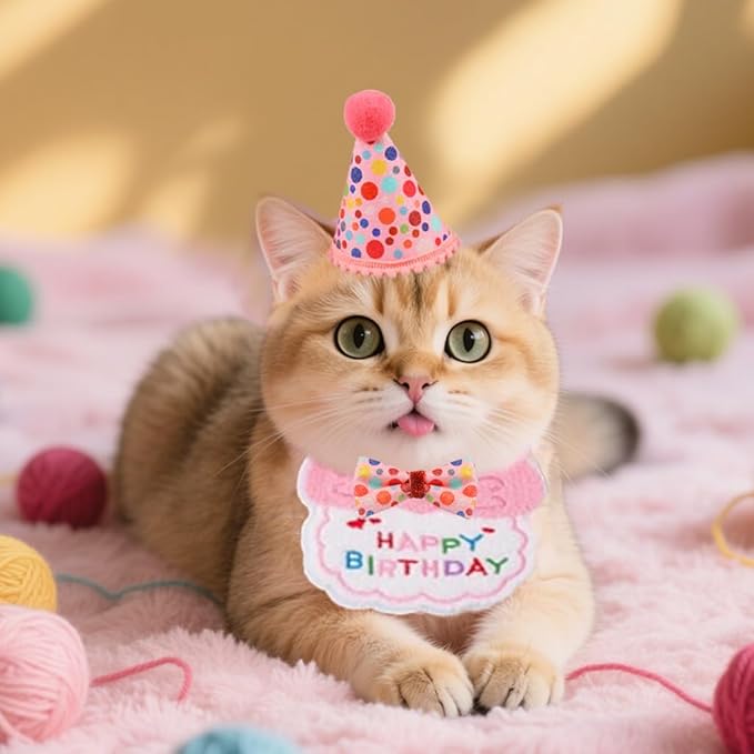 Cat Birthday Party Supplies, Girl Boy Cat Kitten Birthday Bandana Hat Numbers Decorations Outfits Set, Pink