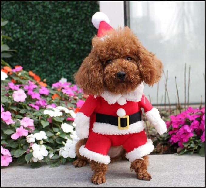 NACOCO Pet Christmas Costumes Dog Suit with Cap Santa Claus Suit Dog Hoodies Cat Xmas Costumes (Red, M)