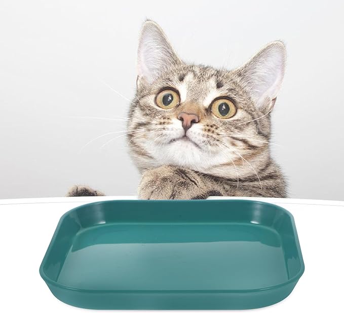 HOMSFOU 5pcs Shallow Cat Food Bowls Set Sturdy Non-breakable Pet Feeding Plates for Indoor Cats Mixed Color Suitable for Daily Feeding and Watering Random Color