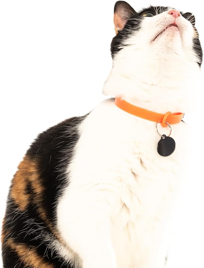 2 Pack Breakaway Cat Collar - Soft, Comfortable, and Lightweight Safety Buckle Collar with Name Tag Ring for Outdoor Cats and Sensitive Skin Kittens by Nuvuq (6 ⅞" to 10 ¼") (Orange and Green)