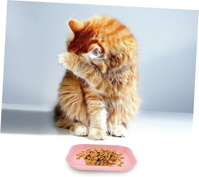 Beaupretty 8pcs Shallow Square Cat Bowls Kitten Food Dishes Set Small Size Multi-Color for Indoor Feeding and Watering