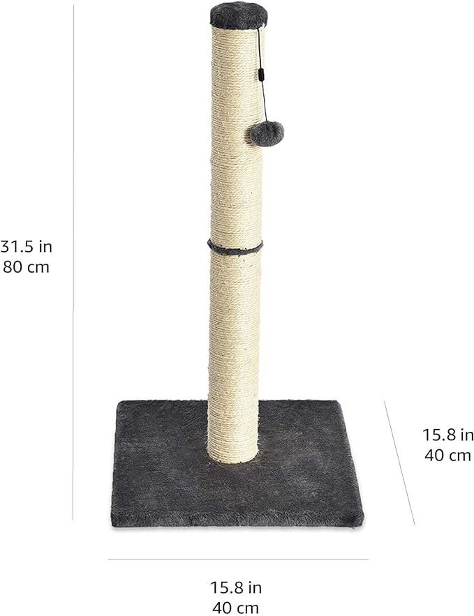Amazon Basics Cat Scratching Post for Indoor Cats & Kittens, Medium (31.5"H), Cat Furniture with Dangling Ball Toy, Grey