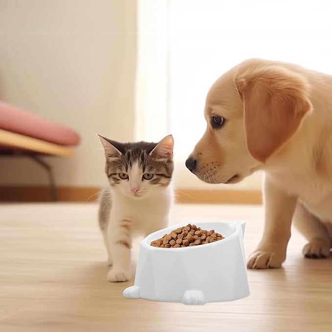 OUNONA Raised Ceramic Cat Bowl for Feeding and Drinking, White Single Elevated Pet Food and Water Dish for Cats and Dogs, Anti-Spill Design Protects Neck and Spine, Suitable for Indoor