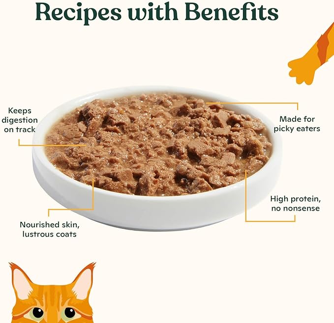 Made by Nacho Turkey & Turkey Liver Recipe Grain-Free Minced Wet Cat Food, 5.5-oz can, Case of 6