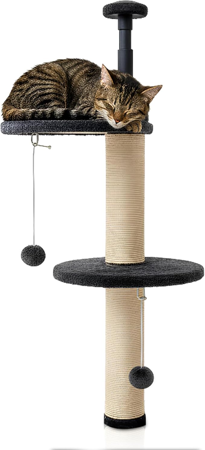 Window Cat Tree & Small Cat Tower (89.5-105.5cm) – Adjustable Cat Window Perch & Shelf for Indoor Cats – Sturdy Window Sill Extender Seat for Large Cats