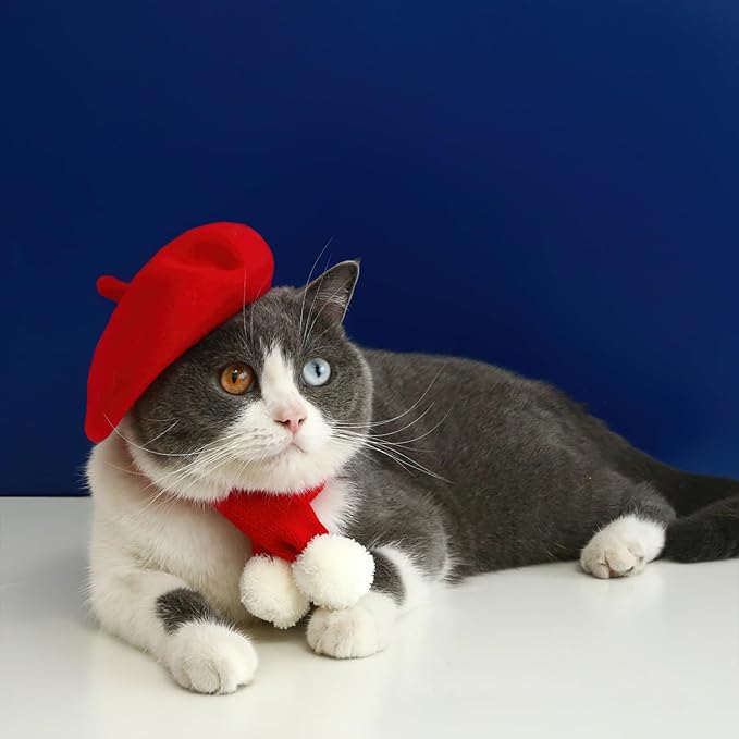 Pet Cat Dog Beret Hat Funny Artist Wool Beret Hat Pet Headwear Fashion Accessories for Winter Birthday Party (Red)
