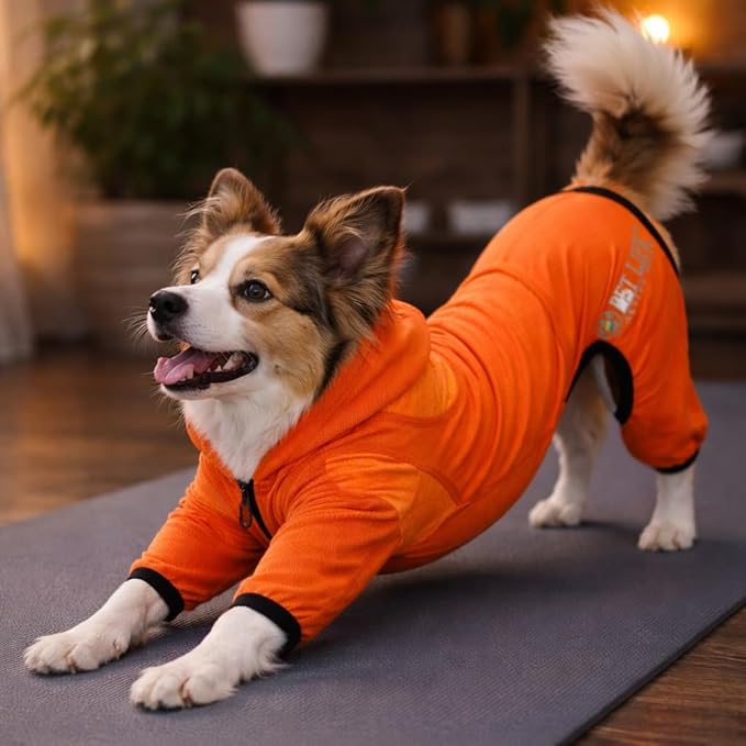 Pet Life ® Active Pawsterity Mediumweight 4-Way-Stretch and Quick Dry Yoga Fitness Year-Round Hooded Tracksuit Dog Sweater