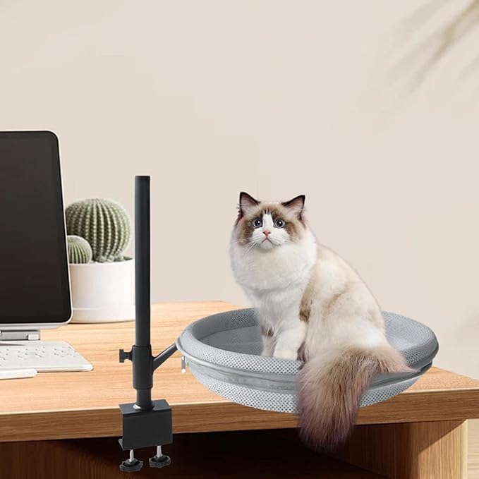 Cat Desk Bed Height Adjustable 360° Rotation Cat Perch for Desk Clamp Mount Elevated Kitten Furniture for Side Table Study Room- Mesh Cloth