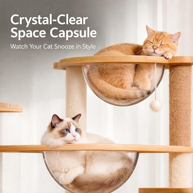 Cat Tree for Indoor Cats, 57" Large Modern Cat Tower with 2 Acrylic Space Capsule Perches, Wooden Cat Condo, Sisal Scratching Posts, Easy-Climb Ladder & Hanging Toys, Cat Activity Tree for Large Cats