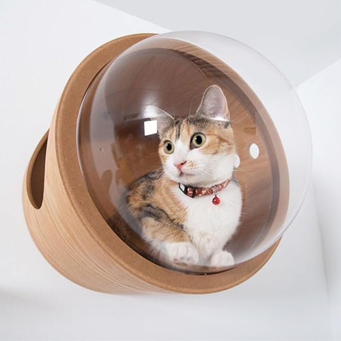 Round Cat Wall Furniture Wall Shelves for Cats Wood Transparent Capsule Breathable for Indoor Large Small Kitten