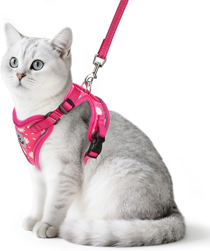 PUPTECK Cat Harness and Leash Set Escape Proof Reflective Cat Walking Harness Adjustable Soft Breathable Mesh Vest for Small Pets, Fuchsia Dasiy, S