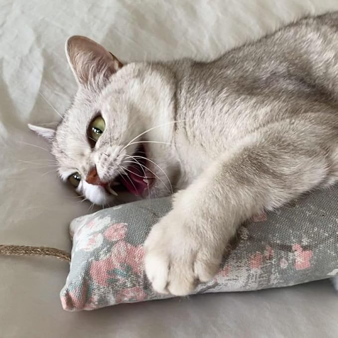 Meowy Janes Tough Canvas Cat Kicker Toy, Stuffed with 100% Catnip (1/4 LB), Original, Super Potent Canadian Catnip! | All Natural Large Size 10" Kitty Kicker (Tiger Stripe)