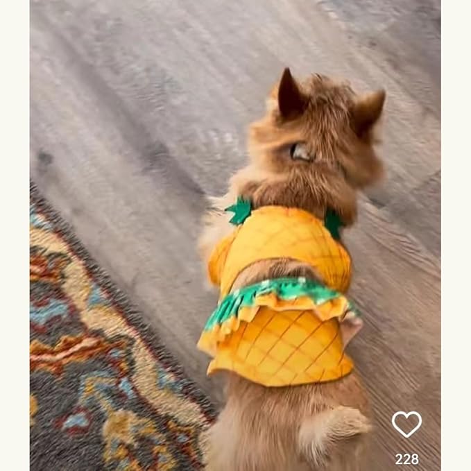 Funny Dog Swimwear Bikini Summer Dog Clothes Beach Swimsuit Puppy Bathing Suit Puppy Vest Cooling Shirts Pet Shirt for Small Dogs, Cat Apparel (X-Small, Yellow Pineapple)