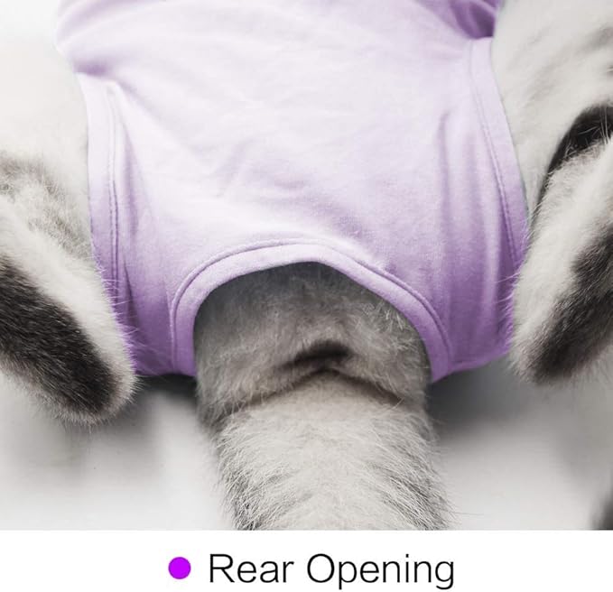 kzrfojy Cat Surgery Recovery Suit Cat Onesie for Cats After Surgery Spay Surgical Abdominal Wound Skin Diseases E-Collar Alternative Wear (Pruple-M)